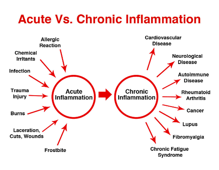 inflamattion-image-3.jpg